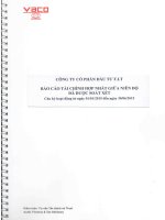 Báo cáo tài chính hợp nhất quý 2 năm 2015 (đã soát xét) - Công ty cổ phần Đầu tư F.I.T