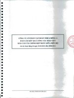 Báo cáo tài chính hợp nhất quý 2 năm 2011 (đã soát xét) - Công ty Cổ phần Tập đoàn Nhựa Đông Á