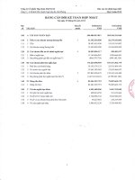 Báo cáo tài chính hợp nhất quý 2 năm 2012 - Công ty Cổ phần Tập đoàn Hapaco