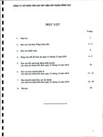 Báo cáo tài chính năm 2010 (đã kiểm toán) - Công ty Cổ phần Tấm lợp Vật liệu xây dựng Đồng Nai