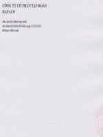 Báo cáo tài chính hợp nhất năm 2012 (đã kiểm toán) - Công ty Cổ phần Tập đoàn Hapaco