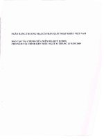Báo cáo tài chính quý 2 năm 2009 - Ngân hàng Thương mại Cổ phần Xuất nhập khẩu Việt Nam