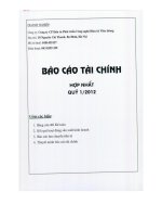 Báo cáo tài chính hợp nhất quý 1 năm 2012 - Công ty Cổ phần Đầu tư Phát triển Công nghệ Điện tử Viễn thông