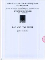 Báo cáo tài chính công ty mẹ quý 1 năm 2013 - Công ty cổ phần Vận tải Sản phẩm khí quốc tế