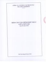 Báo cáo tài chính hợp nhất quý 2 năm 2014 - Công ty cổ phần Tập đoàn FLC