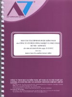 Báo cáo tài chính năm 2013 (đã kiểm toán) - Công ty Cổ phần Nông nghiệp và Thực phẩm Hà Nội - Kinh Bắc