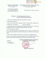 Báo cáo tài chính hợp nhất năm 2014 (đã kiểm toán) - Công ty Cổ phần Tập đoàn Dabaco Việt Nam