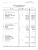 Báo cáo tài chính công ty mẹ quý 2 năm 2011 - Công ty Cổ phần Thương mại Hóc Môn