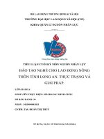 ĐÀO TẠO NGHỀ CHO LAO ĐỘNG NÔNG THÔN TỈNH LONG AN. THỰC TRẠNG VÀ GIẢI PHÁP.
