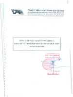 Báo cáo tài chính hợp nhất năm 2008 (đã kiểm toán) - Công ty Cổ phần Tập đoàn Nhựa Đông Á