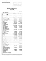 Báo cáo tài chính quý 4 năm 2008 - Công ty Cổ phần Xi Măng Hà Tiên 1