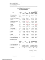 Báo cáo KQKD quý 2 năm 2010 - Công ty Cổ phần Cao su Hòa Bình