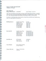 Báo cáo tài chính hợp nhất năm 2012 (đã kiểm toán) - Công ty Cổ phần Tập đoàn Hà Đô