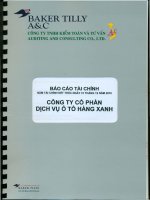 Báo cáo tài chính công ty mẹ năm 2010 (đã kiểm toán) - Công ty Cổ phần Dịch vụ Ô tô Hàng Xanh