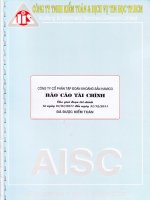 Báo cáo tài chính công ty mẹ năm 2011 (đã kiểm toán) - Công ty Cổ phần Đầu tư và Phát triển KSH