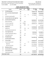 Báo cáo tài chính quý 1 năm 2010 - Công ty cổ phần Đầu tư DNA