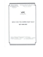 Báo cáo tài chính hợp nhất quý 1 năm 2015 - Công ty Cổ phần Dược phẩm Cửu Long