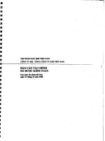 Báo cáo tài chính năm 2008 (đã kiểm toán) - Tổng Công ty Khí Việt Nam-CTCP