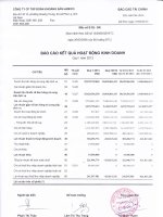 Báo cáo KQKD quý 1 năm 2013 - Công ty Cổ phần Đầu tư và Phát triển KSH