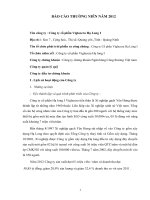 Báo cáo thường niên năm 2012 - Công ty Cổ phần Viglacera Hạ Long I