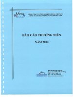 Báo cáo thường niên năm 2012 - Công ty Cổ phần Xi măng Vicem Hải Vân