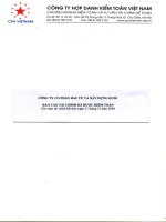 Báo cáo tài chính công ty mẹ năm 2008 (đã kiểm toán) - Công ty Cổ phần Đầu tư và Xây dựng HUD1