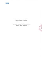 Báo cáo tài chính năm 2014 (đã kiểm toán) - Công ty Cổ phần Tập đoàn HIPT