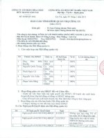 Báo cáo tình hình quản trị công ty - CTCP Hóa chất Đức Giang – Lào Cai