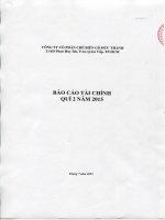 Báo cáo tài chính quý 2 năm 2015 - Công ty Cổ phần Chế biến Gỗ Đức Thành