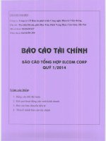 Báo cáo tài chính công ty mẹ quý 1 năm 2014 - Công ty Cổ phần Đầu tư Phát triển Công nghệ Điện tử Viễn thông