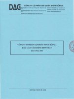 Báo cáo tài chính hợp nhất quý 2 năm 2013 - Công ty Cổ phần Tập đoàn Nhựa Đông Á