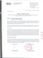 Báo cáo tài chính năm 2007 (đã kiểm toán) - Công ty Cổ phần Dịch vụ Công nghệ Tin học HPT