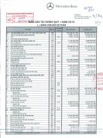 Báo cáo tài chính công ty mẹ quý 1 năm 2010 - Công ty Cổ phần Dịch vụ Ô tô Hàng Xanh