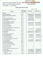 Báo cáo tài chính hợp nhất quý 4 năm 2013 - Công ty Cổ phần Tập đoàn Dabaco Việt Nam