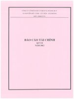 Báo cáo tài chính quý 2 năm 2012 - Công ty Cổ phần Đầu tư Dịch vụ Hoàng Huy