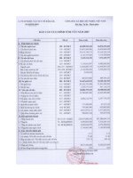 Báo cáo tài chính năm 2007 - Công ty Cổ phần Dược - Vật tư Y tế Đăk Lăk