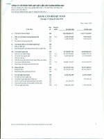 Báo cáo tài chính quý 1 năm 2014 - Công ty Cổ phần Tấm lợp Vật liệu xây dựng Đồng Nai