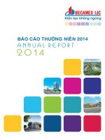 Báo cáo thường niên năm 2014 - Công ty Cổ phần Phát triển Hạ tầng Kỹ thuật