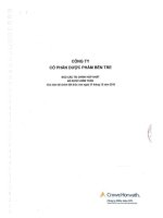 Báo cáo tài chính hợp nhất năm 2010 (đã kiểm toán) - Công ty Cổ phần Dược phẩm Bến Tre