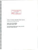 Báo cáo tài chính quý 2 năm 2011 (đã soát xét) - Công ty Cổ phần Chế biến Gỗ Đức Thành