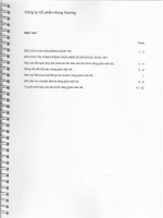 Báo cáo tài chính công ty mẹ quý 2 năm 2010 (đã soát xét) - Công ty Cổ phần Hùng Vương