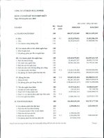 Báo cáo tài chính hợp nhất quý 2 năm 2010 - Công ty Cổ phần Full Power