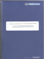 Báo cáo tài chính năm 2013 (đã kiểm toán) - Công ty Cổ phần Đầu tư và Xây dựng Công nghiệp