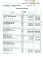 Báo cáo tài chính hợp nhất quý 2 năm 2014 - Công ty Cổ phần Tập đoàn Dabaco Việt Nam