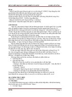 ĐỒ án đèn GIAO THÔNG AT89C51