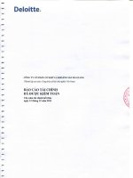 Báo cáo tài chính năm 2011 (đã kiểm toán) - Công ty cổ phần Cơ khí và Khoáng sản Hà Giang