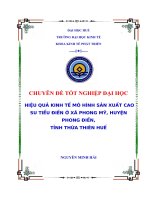 Hiệu quả kinh tế mô hình cao su tiểu điền ở  xã phong mỹ, huyện phong điền, tỉnh thừa thiên huế