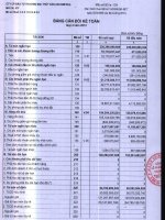 Báo cáo tài chính quý 2 năm 2012 - Công ty Cổ phần Đầu tư Thương mại Thủy Sản