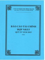 Báo cáo tài chính hợp nhất quý 4 năm 2015 - Công ty Cổ phần Sản xuất Kinh doanh Xuất nhập khẩu Bình Thạnh