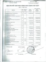 Báo cáo KQKD hợp nhất quý 1 năm 2011 - Công ty Cổ phần Khoáng sản và Xây dựng Bình Dương